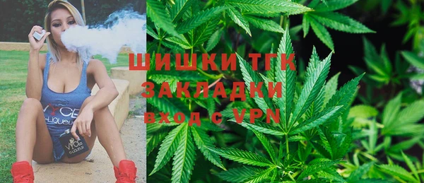 гидра Струнино